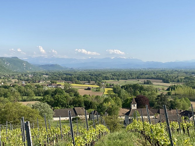 Circuit de randonnée pédestre : Le tour de Groslée_Groslée-Saint-Benoit