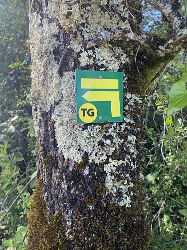 Circuit de randonnée pédestre : Le tour de Groslée_Groslée-Saint-Benoit