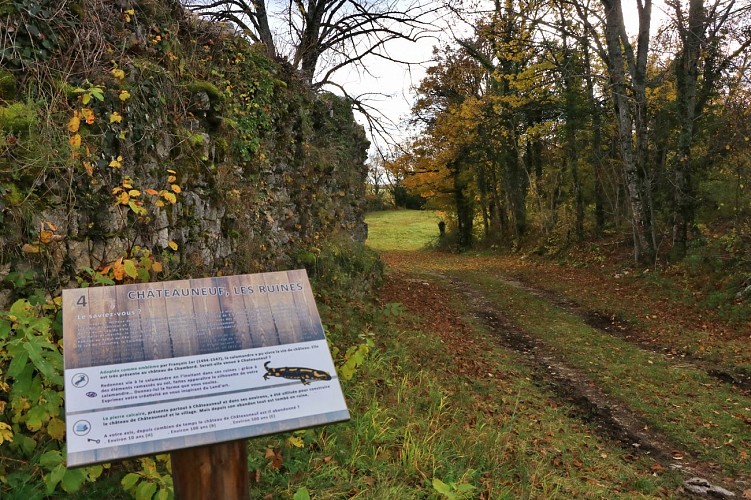 Circuit de randonnée du Pont des Tines et des Grottes du Pic