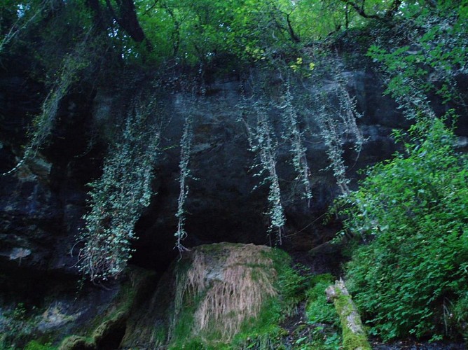 Randonnée à Songieu