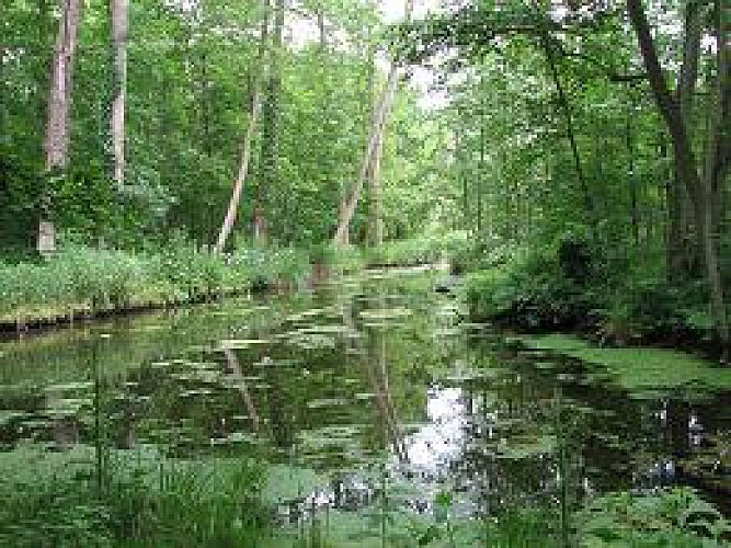 Un village construit autour d'une source - Une balade à la découverte de Valmont