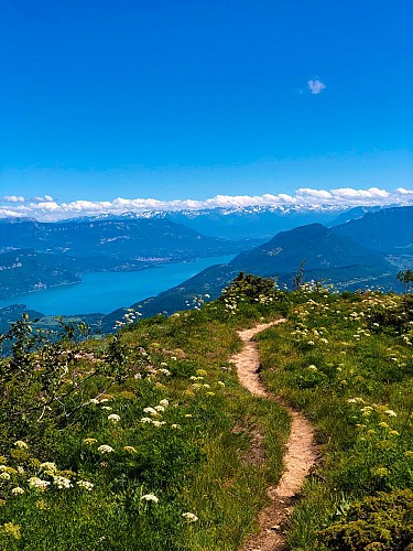 Parcours trail : montée du Grand Colombier depuis Munet