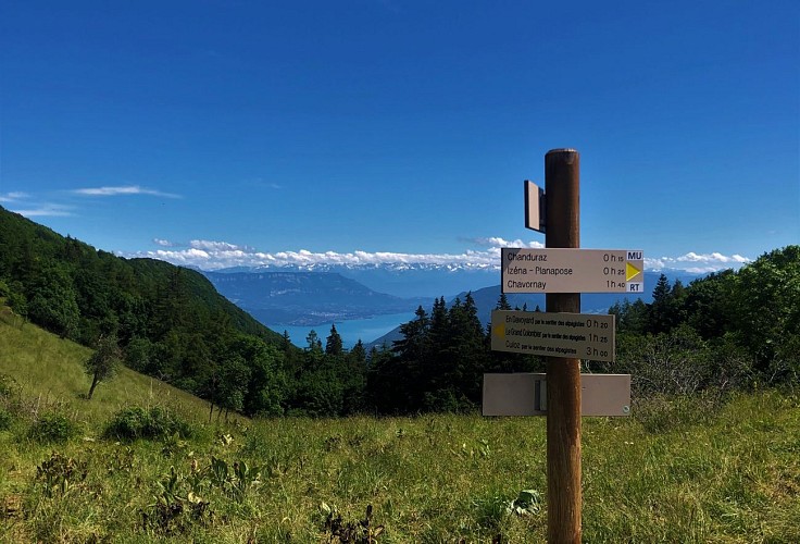 Montée du Grand Colombier depuis Munet