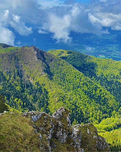 Parcours trail : montée du Grand Colombier depuis Munet