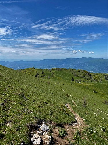 Parcours trail : montée du Grand Colombier depuis Munet