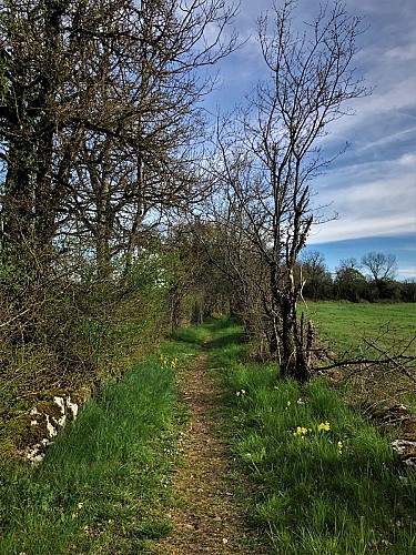 Red rail running loop of Contrevoz