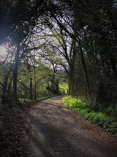 Blue trail running loop of Contrevoz