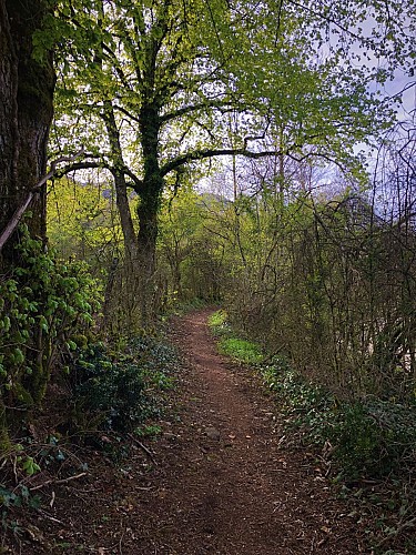 Blue trail running loop of Contrevoz