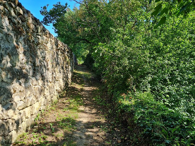 Rauzan_©Office de Tourisme Castillon-Pujols_MS 2023 (3)