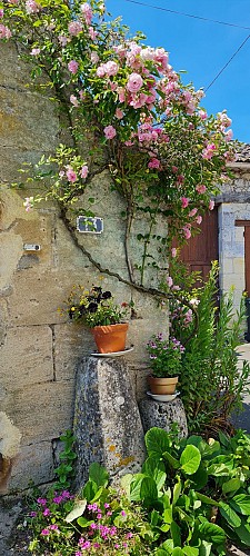 Jugazan_©Office de Tourisme Castillon-Pujols_MS 2023 (16)