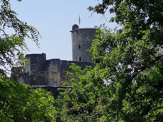 Rauzan_©Office de Tourisme Castillon-Pujols_MS 2023 (1)