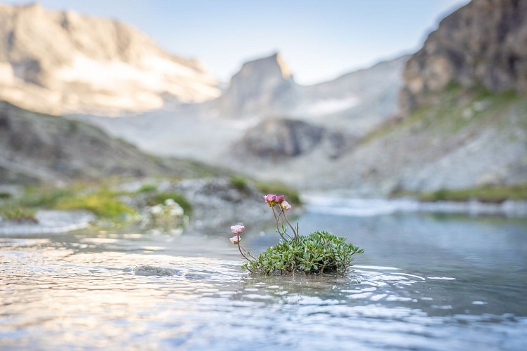 3-day tour of the Etache rock_Val-Cenis