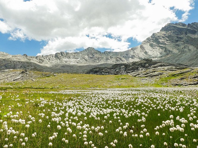 Il giro della roccia Etache in 3 giorni - Tappa 2 - Dal rifugio Ambin al rifugio Suffet
