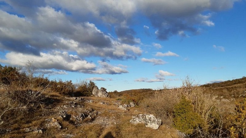 Le causse du Larzac aux couleurs automnales