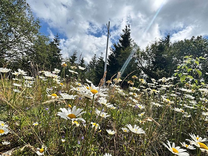 Circuit rando - La Tête des Faux