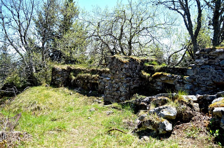Circuit rando - La Tête des Faux