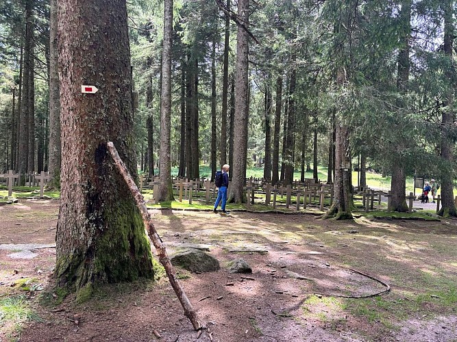 Circuit rando - La Tête des Faux