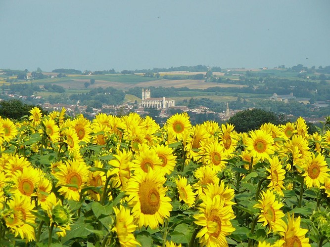 Vue sur Condom