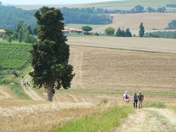 En descendant vers Béraut