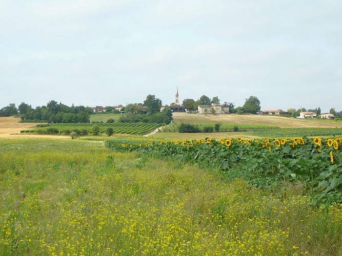 Vue sur Herret