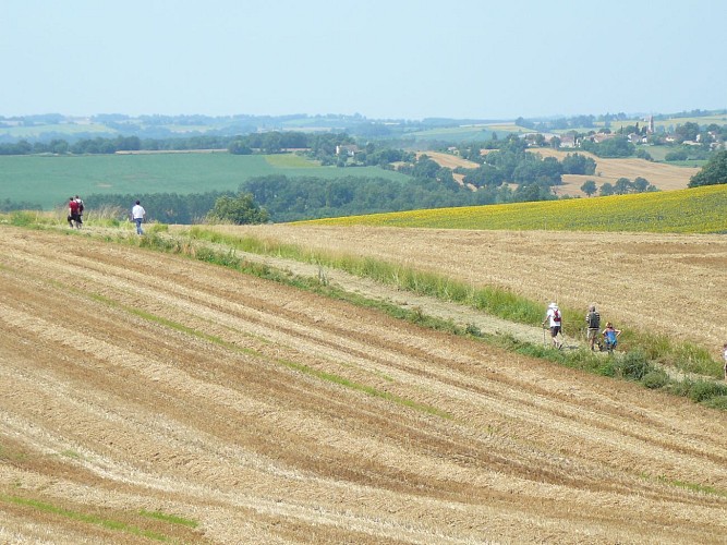 En route vers Béraut