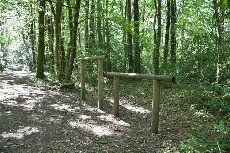 Parcours santé forêt