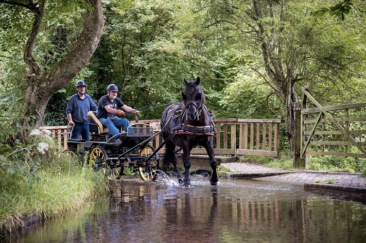 Passage en attelage au gué de la salle
