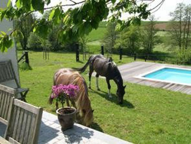 Au fil des Canaux : de Waudrez (Binche) à Bornival (Nivelles) à cheval