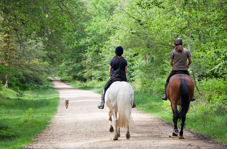 De Bornival (Nivelles) à Ways (Genappe) à cheval