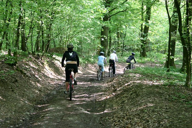 SAINT THIBAUT - VTT (Commune RENDEUX)