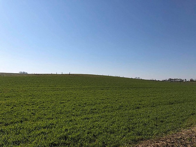 La campagne de Corbais à Mont-Saint-Guibert