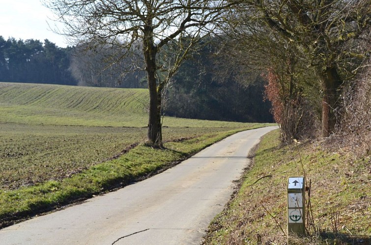 Chaumont-Gistoux, au fil de ses villages, par monts et par vaux, à vélo