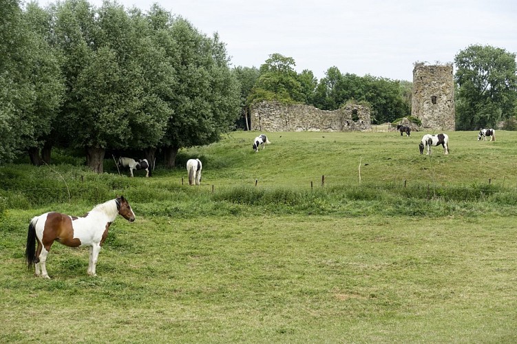 Les Sources du Nil à Walhain - parcours aventure