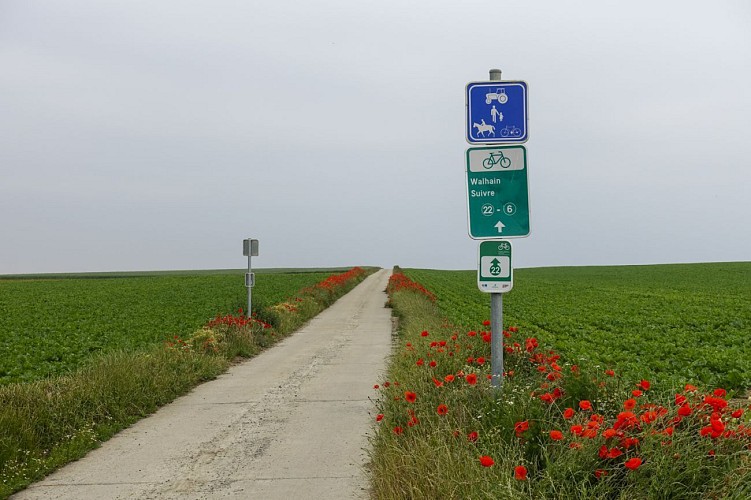 Les Sources du Nil à Walhain - parcours aventure