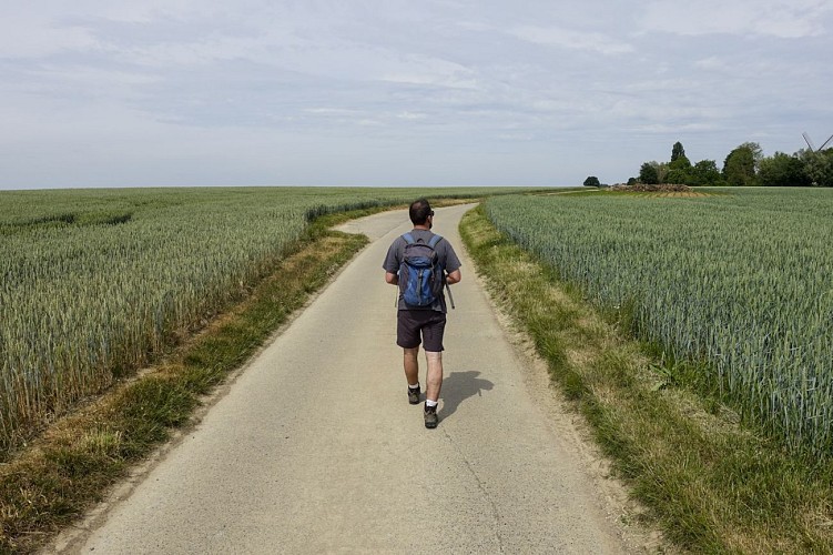 Les Sources du Nil à Walhain