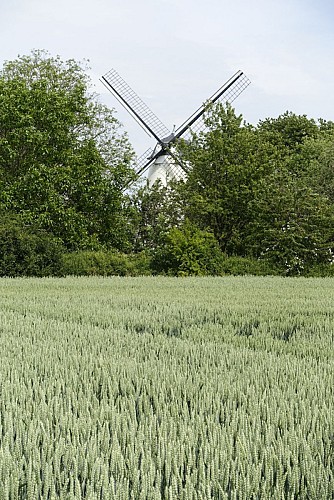 Les Sources du Nil à Walhain