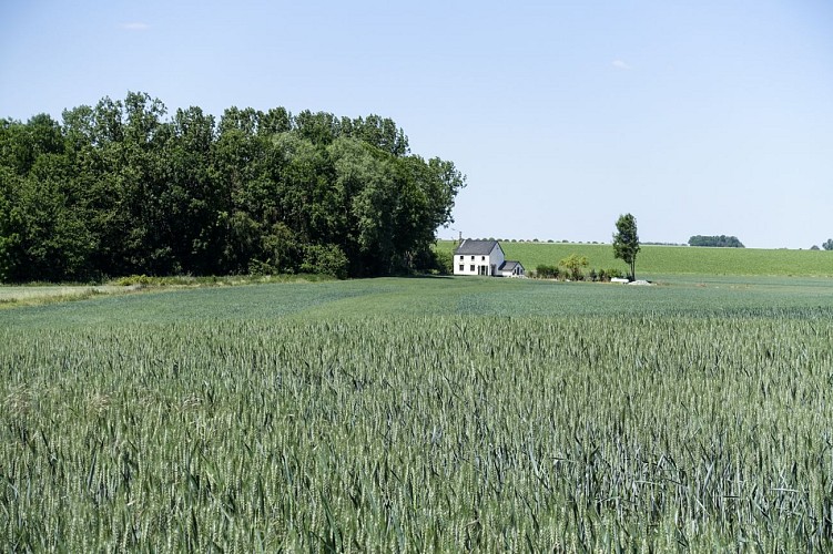 Les Sources du Nil à Walhain