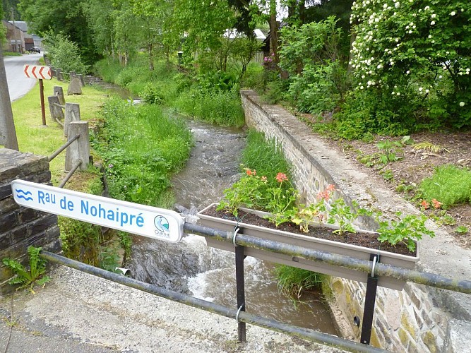 BOIS DE HAMPTEAU (Commune HOTTON)