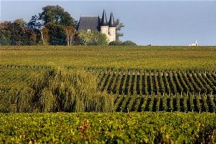 Les-Grands-Crus-Classes-du-Medoc-de-Pauillac-a-Margaux-2 (Medium)