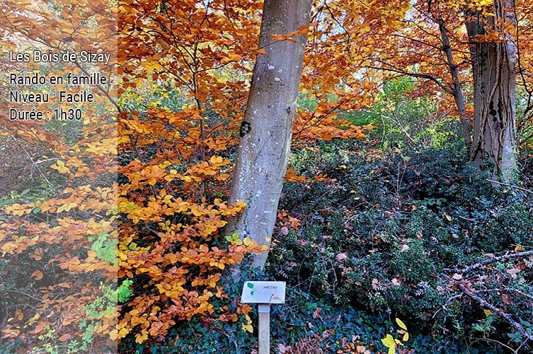 Panneau de décrouverte