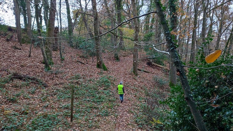 Chemin dans les bois | Brélidy