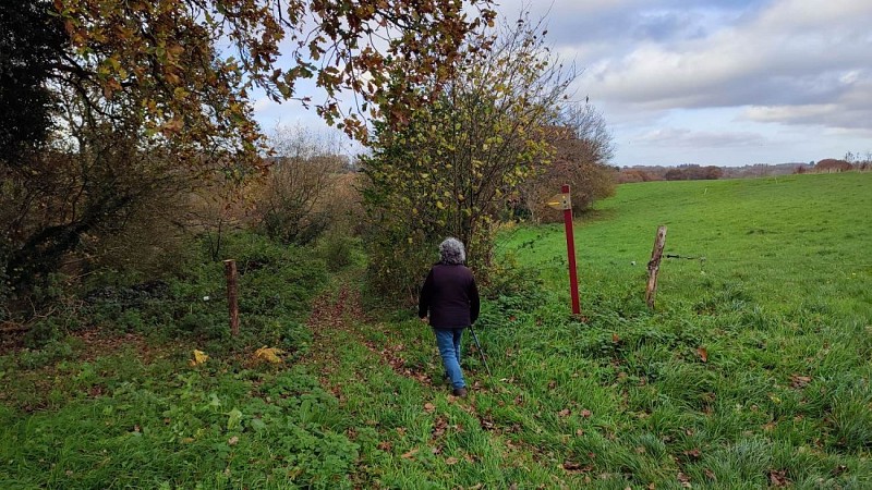 Randonnée à Brélidy - Chemin de campagne