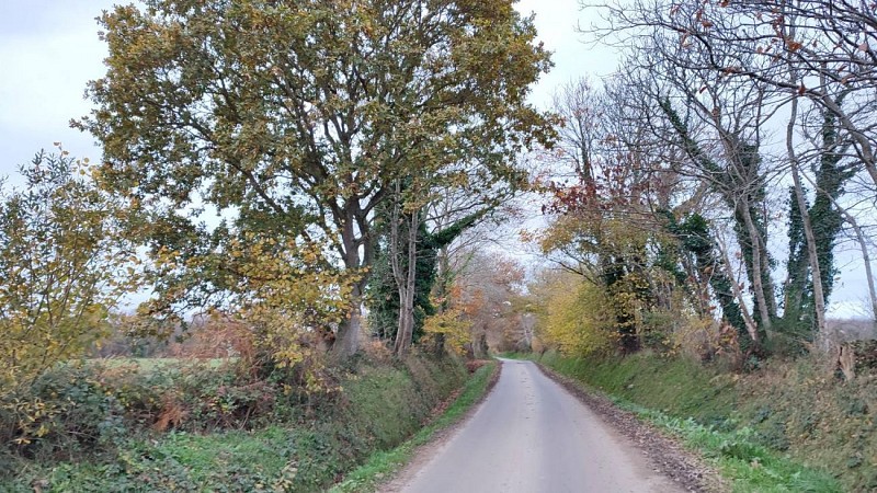 Petite route des circuits de