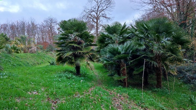 Jardin botanique à Kerviziou | Brélidy