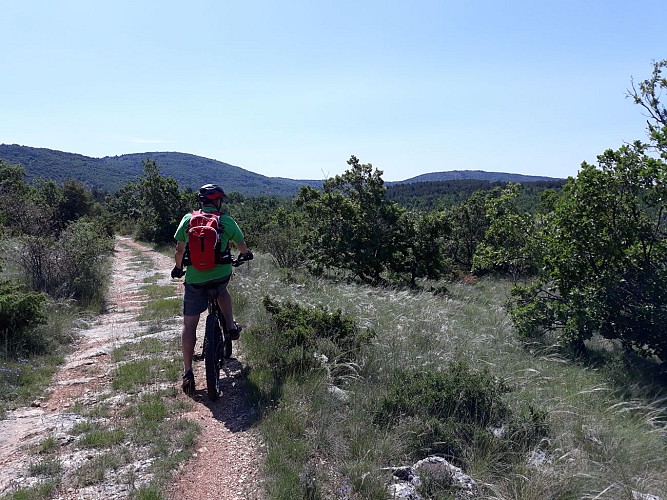 MTB n°12 - From Monieux to Saint-Jean de Sault