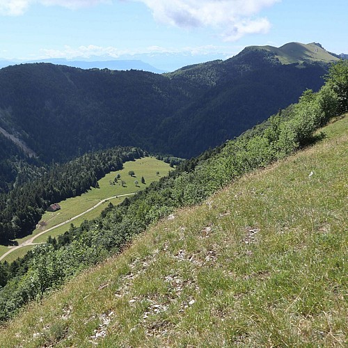 Le sommet du Grand Colombier depuis l'Hergues