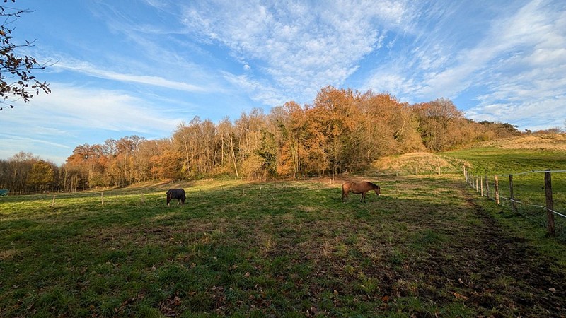 Vue de la colline de Presles