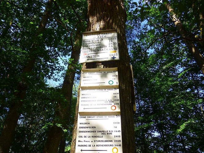 Suivre le balisage du petit circuit de l'étang de Hanau, symbolisé par un anneau vert