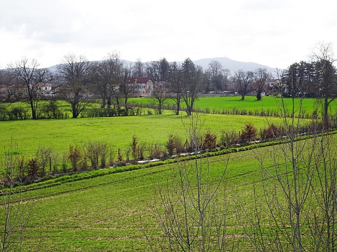 Vue sur les Monts d'Or
