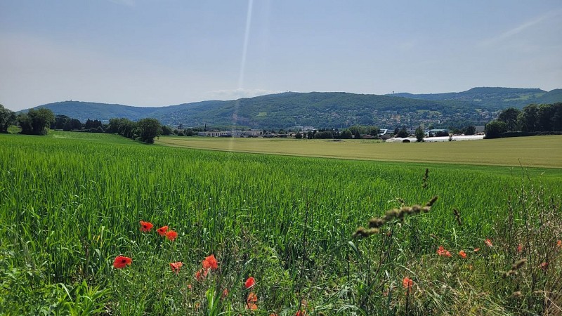 Vue Monts du Lyonnais